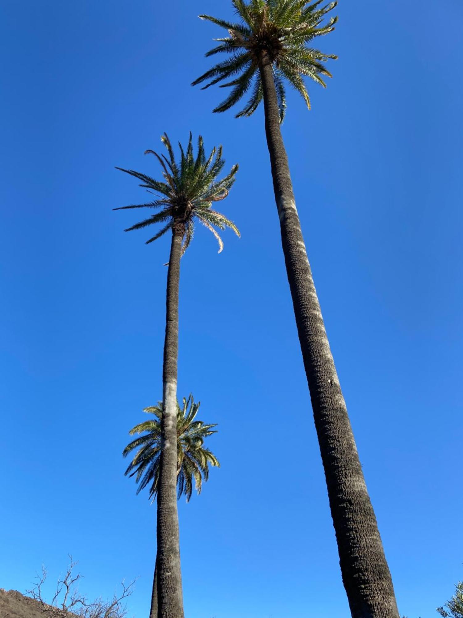 La Casa Nueva De La Montana Santa Lucia De Tirajana别墅 外观 照片